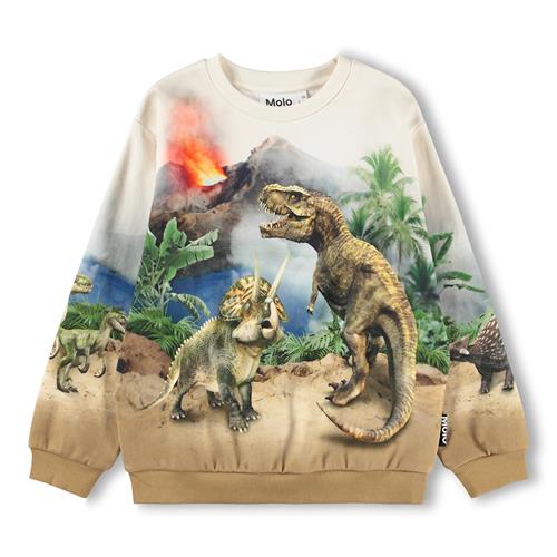 Molo GOTS Miksi Sweatshirt Hot Spring Dinos  Hot Spring Dinos 110 cm  Creme  110 cm  Drenge
