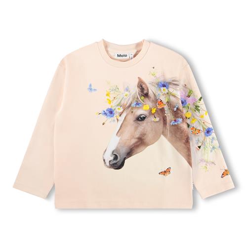 Molo GOTS Mountoo Sweatshirt Meadow Horse  Meadow Horse 110 cm  Lyserød  110 cm  Piger