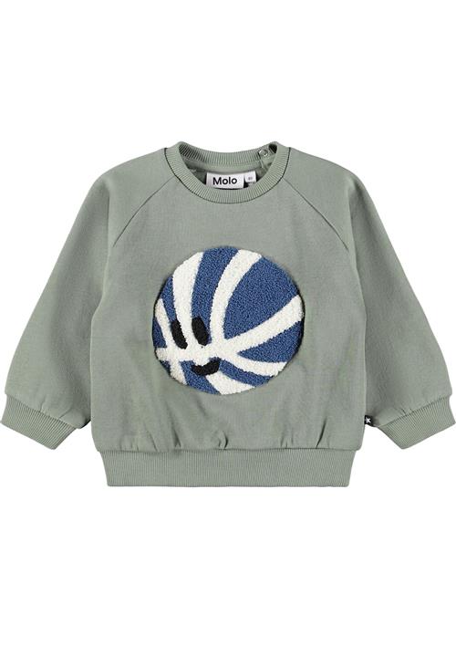 Molo GOTS Disc Sweatshirt Cladonia  Cladonia 104 cm  Grøn  104 cm  Drenge, Piger