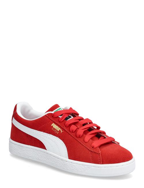PUMA | Suede Classic Jr | 36