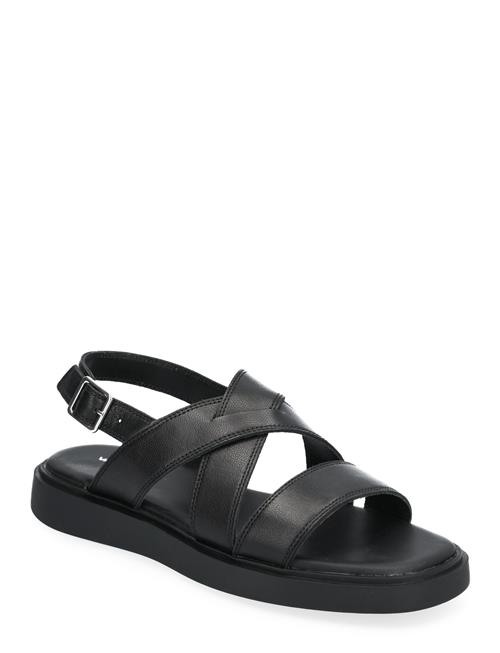VAGABOND | Connie | 40
