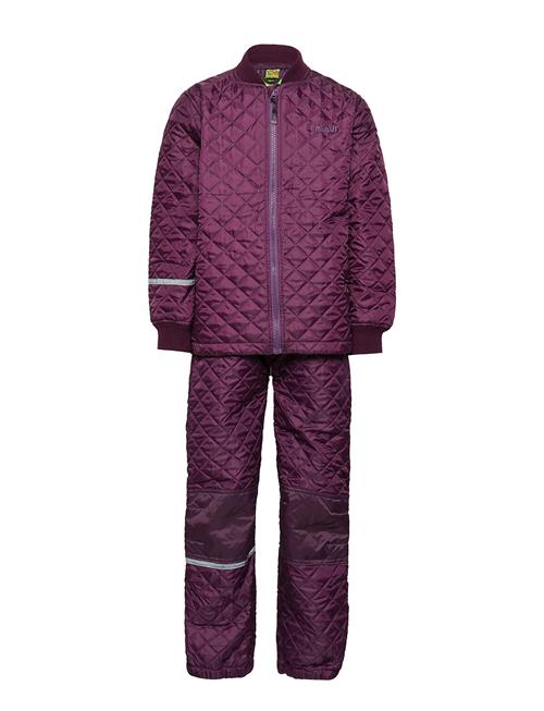 CeLaVi | Basic Thermal Set -Solid | 110