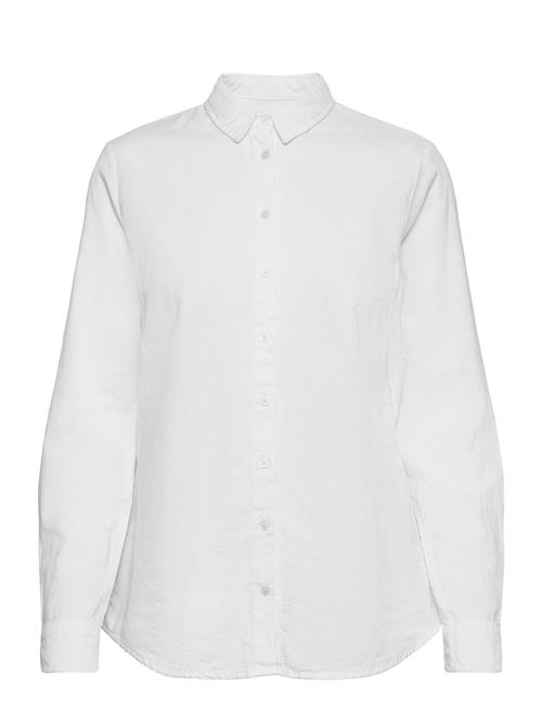 Fransa | Frzaoxford 1 Shirt | M