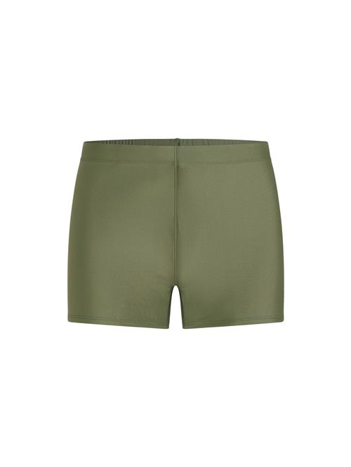 O'NEILL Sportsbadebukser 'Essentials Racer'  lysegrøn