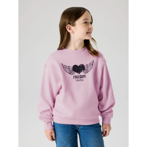 NAME IT Sweatshirt Boidas Pirouette