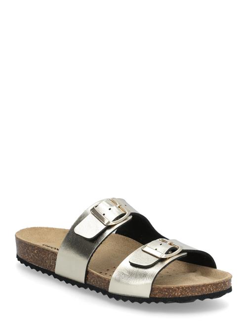 GEOX | D Brionia L | 36