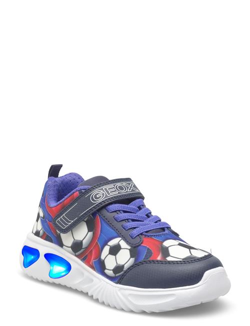 GEOX | J Assister Boy B | 25