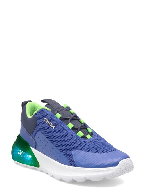 GEOX | J Activart Illuminus | 29