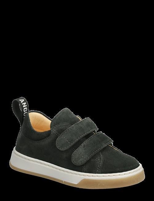 ANGULUS | Shoes - Flat - With Velcro | 27