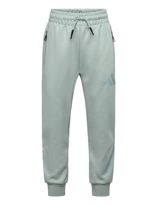 adidas Sportswear | J Z.n.e. Pt | 164