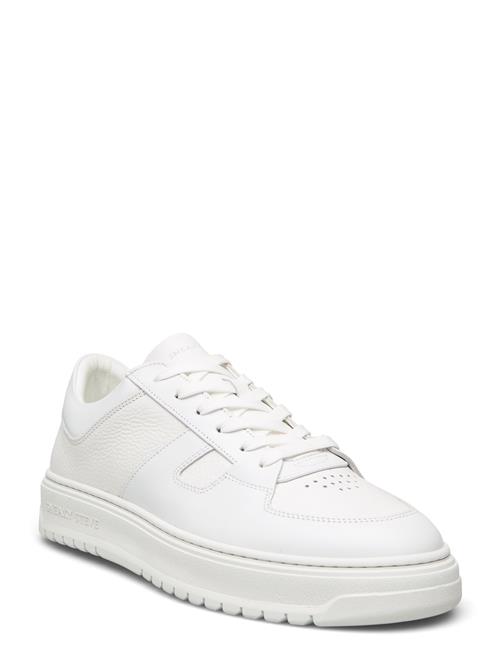 Sneaky Steve | Faraway Low U Total | 46