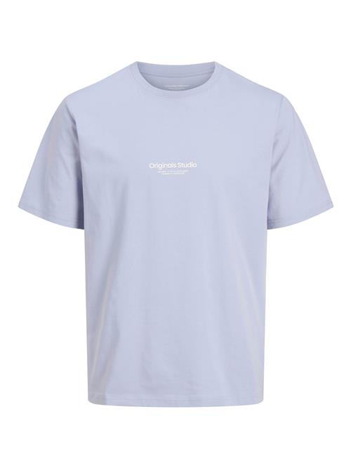 JACK & JONES Bluser & t-shirts 'JORVesterbro'  lyseblå / hvid