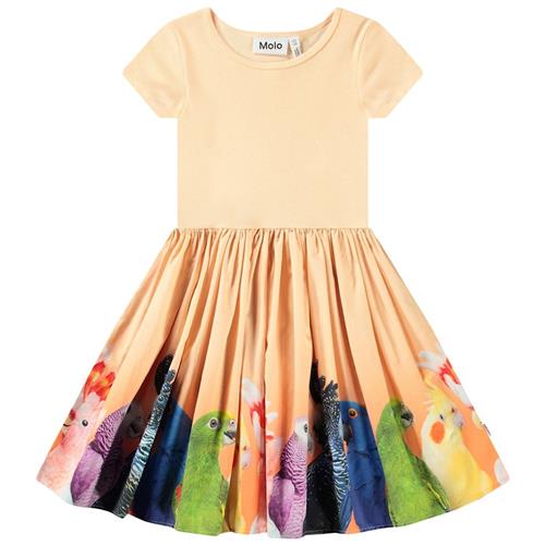 Molo Cissa Short-Sleeved Dress Rainbow Parrots 122/128 cm  Orange.  122/128 cm  Piger