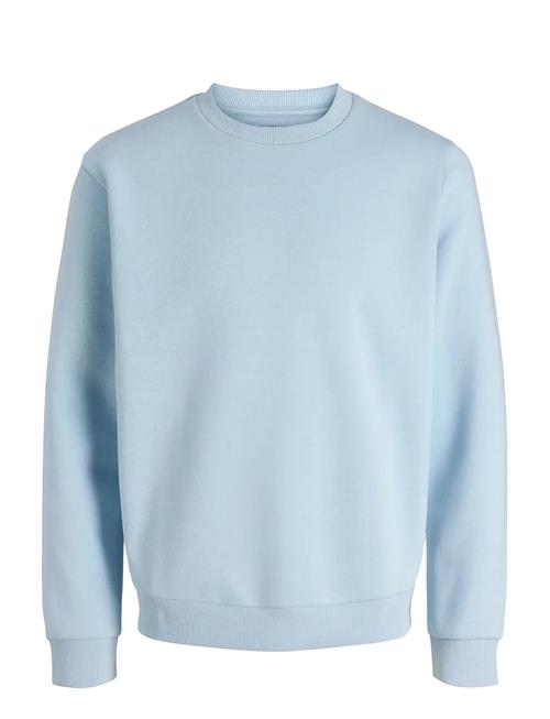 Jack & Jones | Jjebradley Sweat Crew Noos | L