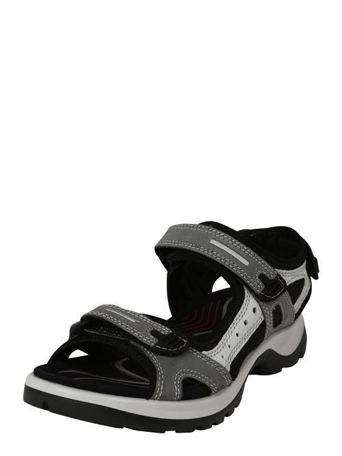 ECCO Sandaler 'Offroad'  grå / lysegrå / sort