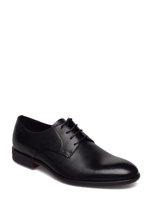 VAGABOND | Harvey | 41