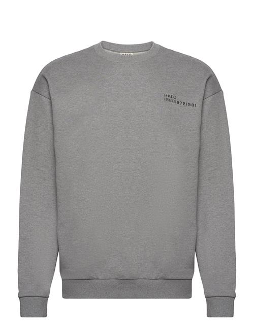 HALO | Halo Essential Crew | S