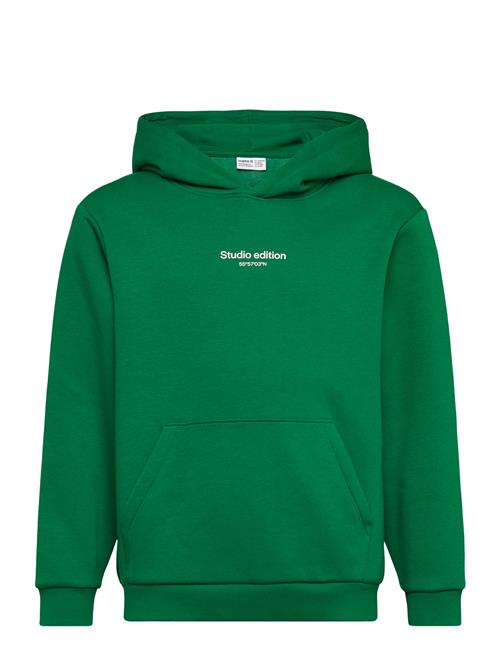 name it | Nkmbrody Ls Nreg Sweat Wh Bru Noos | 146-152