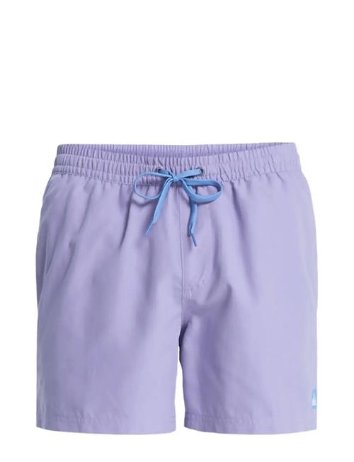 Quiksilver | Everyday Volley 15 | XL