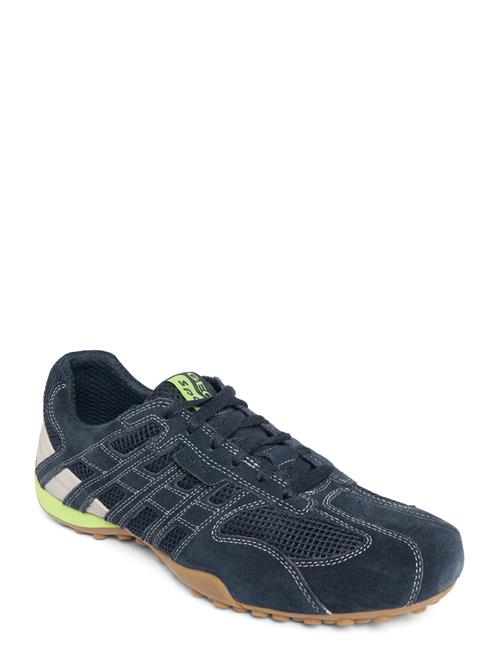 GEOX | U Snake Original A | 43
