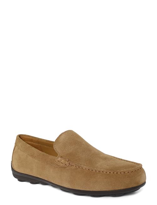 GEOX | U Spherica Ec16 A | 44