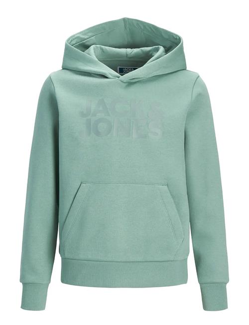 Jack & Jones | Jjecorp Logo Sweat Hood Noos Jnr | 152