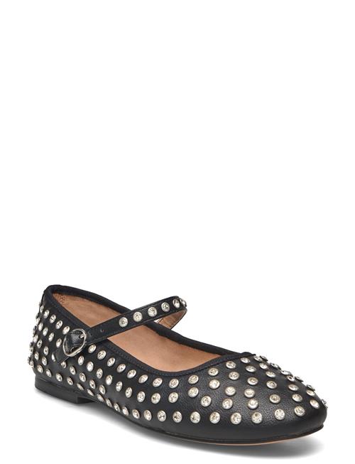 Steve Madden | Vinetta-R | 38