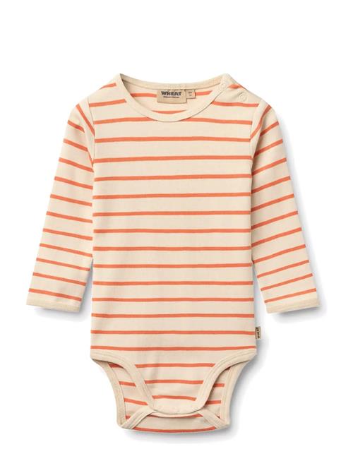 Wheat | Body L/S Berti | 68