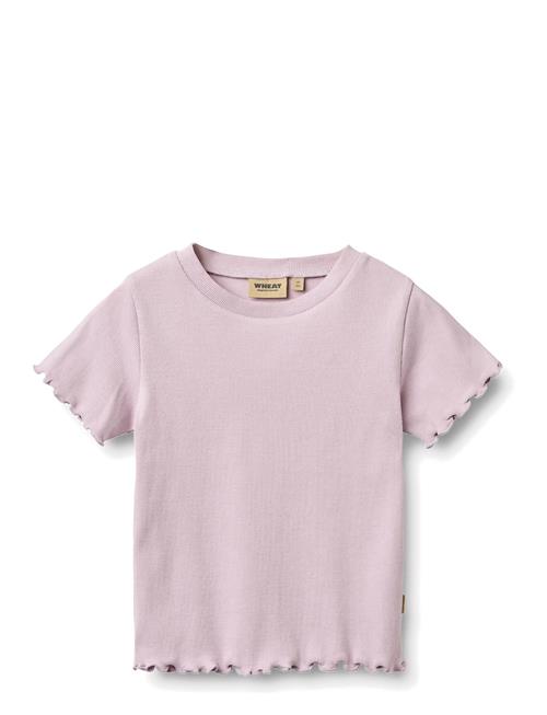 Wheat | Rib T-Shirt S/S Alicia | 104