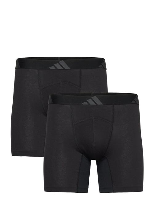adidas Underwear | Shorts | M