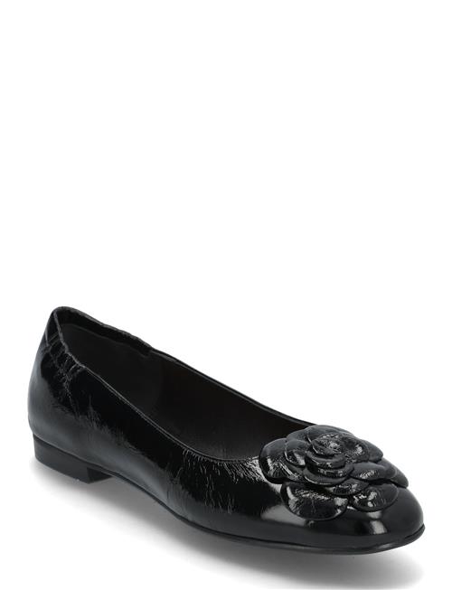 Billi Bi | Ballerina | 38