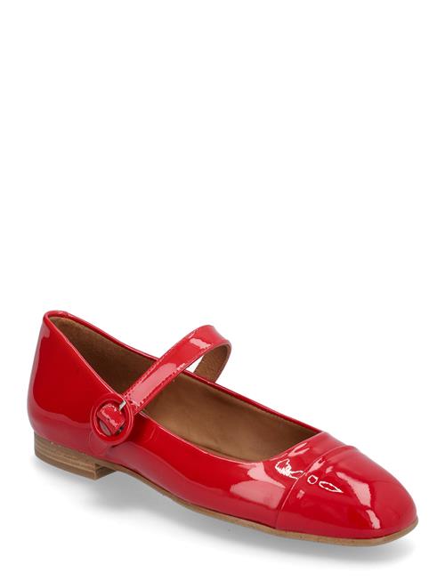 Billi Bi | Ballerina | 39.5