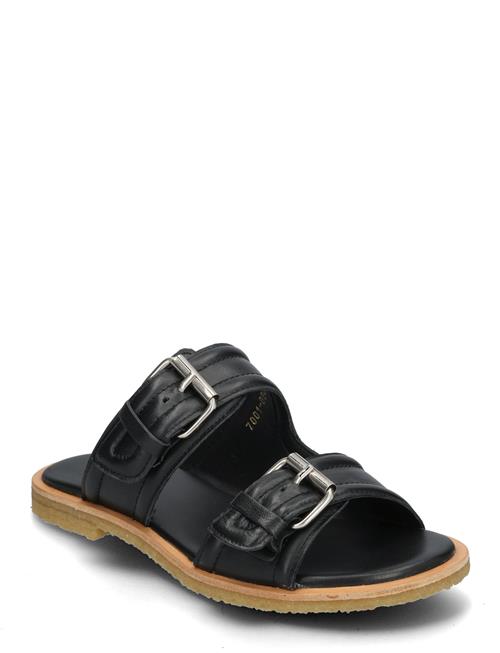 Billi Bi | Trotter | 37