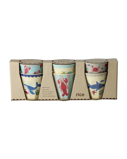 RICE 6-pak Lille Kop Blue Ocean  Blue Ocean S  Blå  S  Drenge
