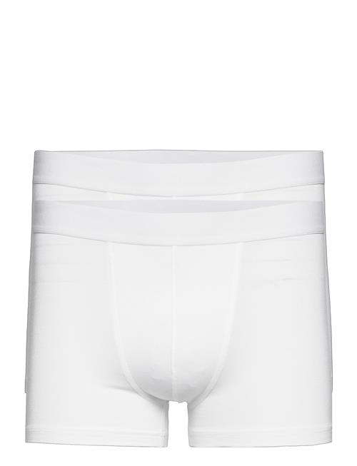 Bread & Boxers | Mutlipack Boxer Brief Modal | XL