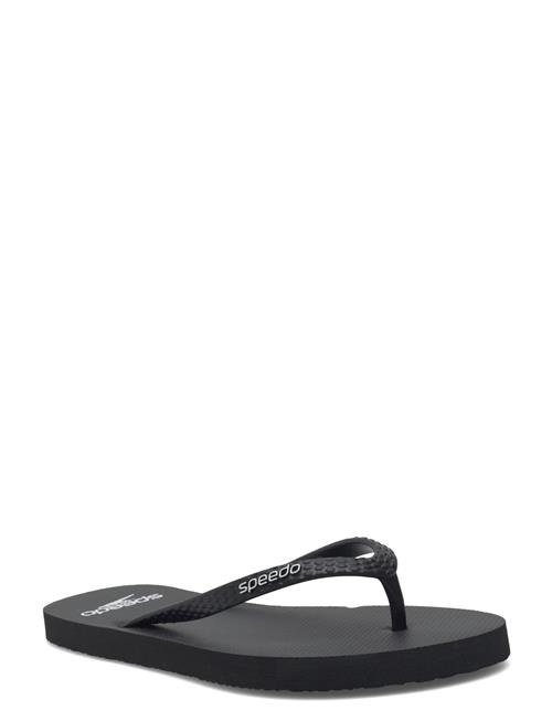 Speedo | Speedo Flip Flop Af | 38