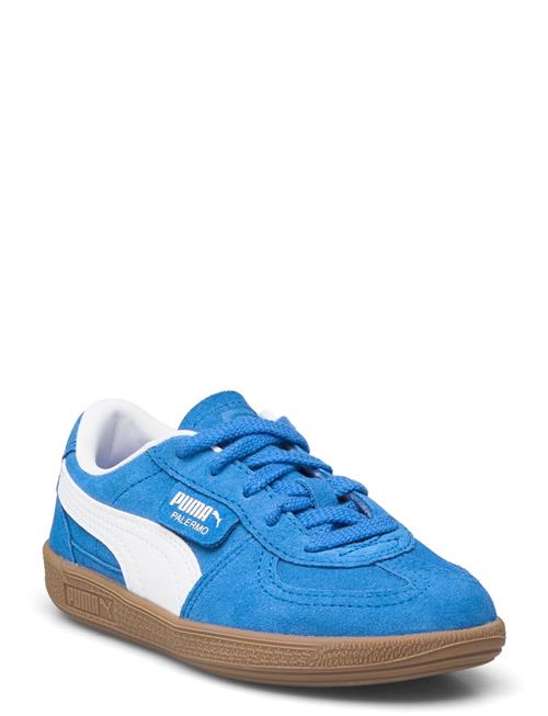 PUMA | Palermo Ps | 32