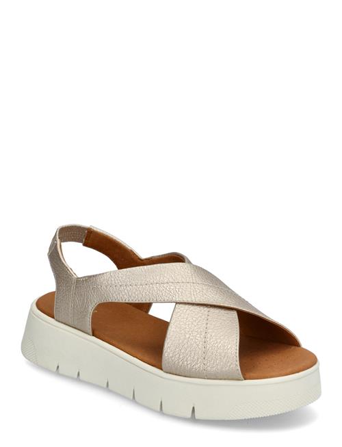 GEOX | D Dandra 40 A | 40