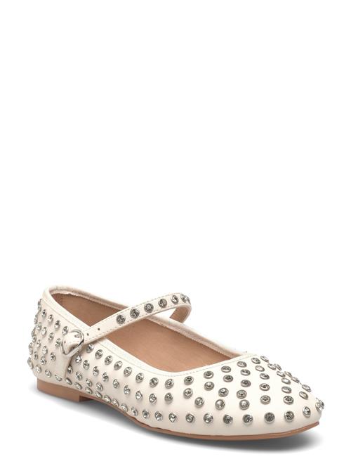 Steve Madden | Vinetta-R | 40
