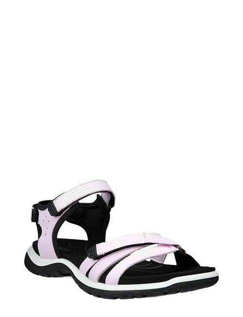 ECCO | Offroad Roam W | 40
