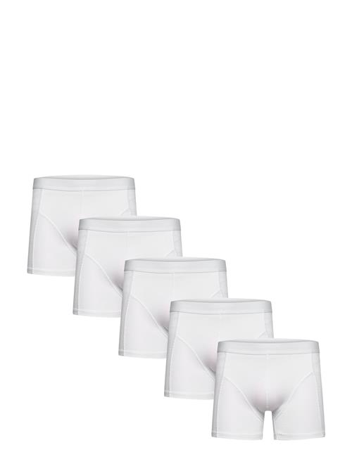 Shine Original | 5 Pack Tights | XXL