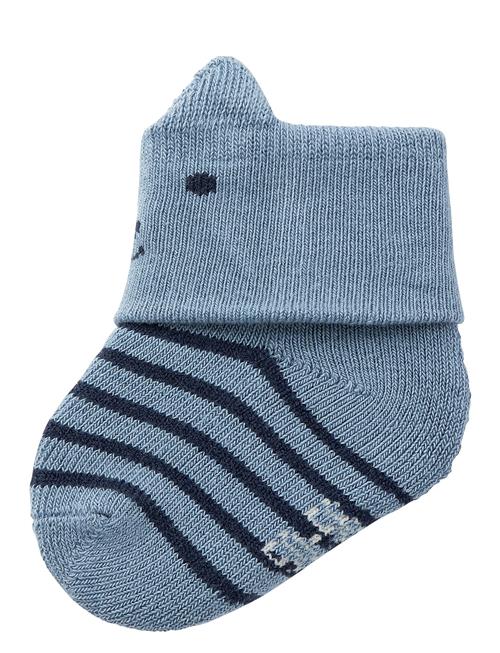 name it | Nbmtoddos Terry Frotte Sock | 50-56