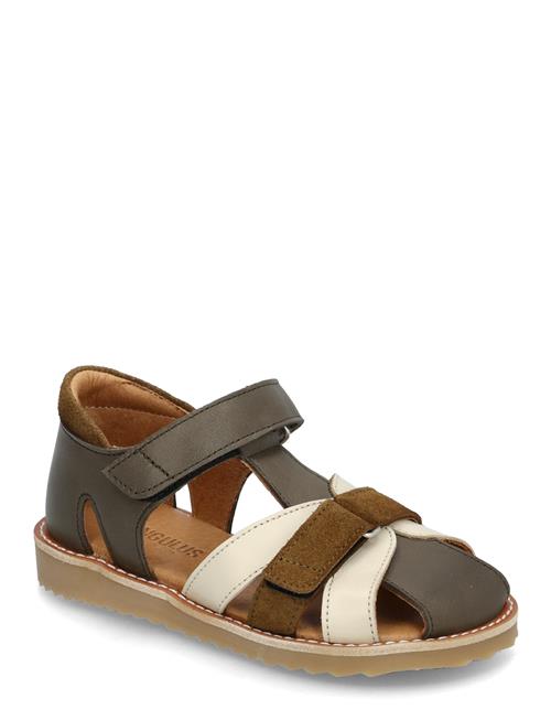 ANGULUS | Sandals - Flat  - Closed Toe | 29