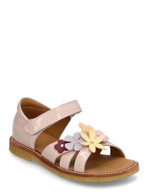ANGULUS | Sandals - Flat  - Open Toe - Clo | 27