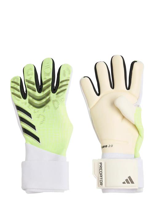 adidas Performance | Pred Gl Pro J | 3