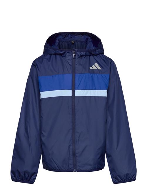 adidas Sportswear | J Tiberio Wb | 176