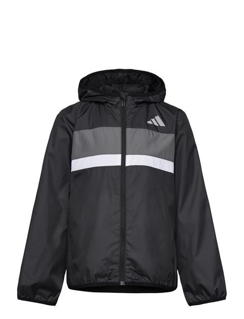 adidas Sportswear | J Tiberio Wb | 164