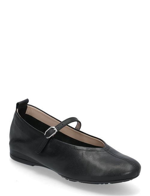 Wonders | Gracia | 38