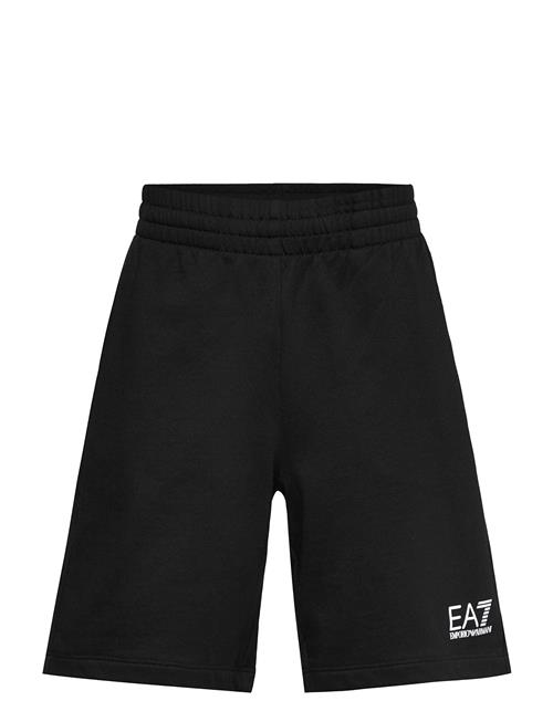 EA7 | Bermuda | 116