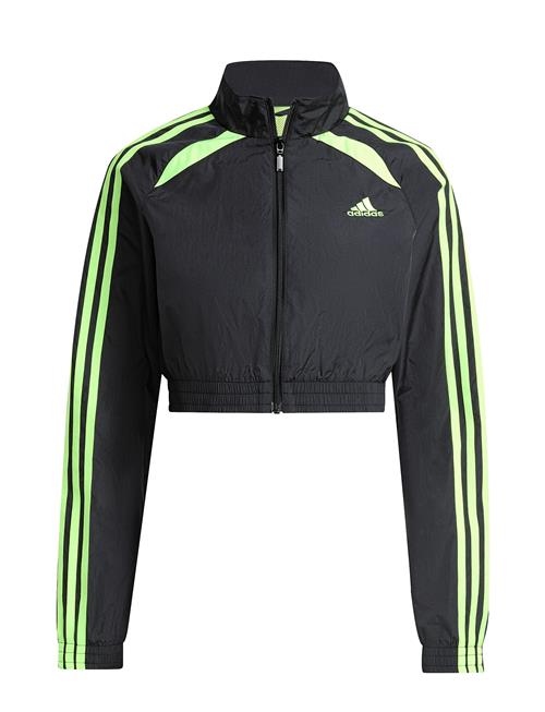 adidas Originals | Teamgeist Tt | L